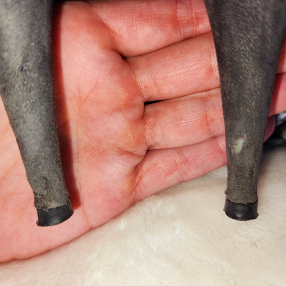 Prada knee-high suede boots - Picture 9 of 10